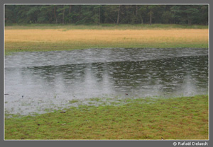 Eifel 2008 in de regen_5