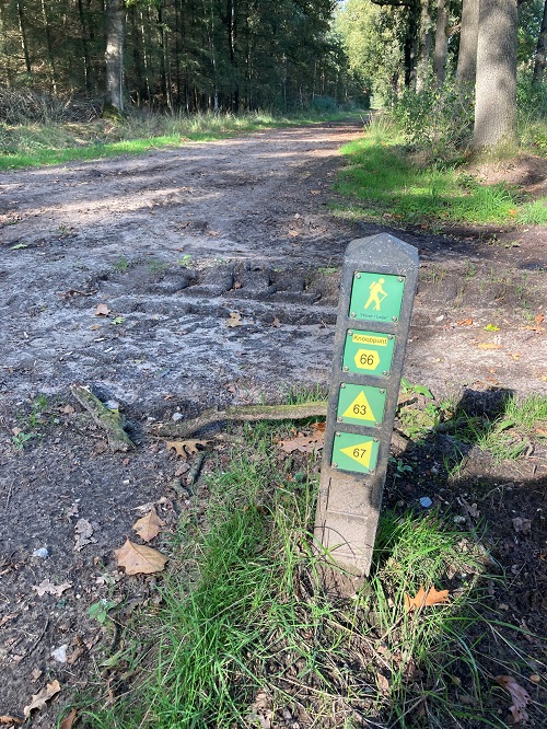 Wandeltocht 12 november 2023 - Update