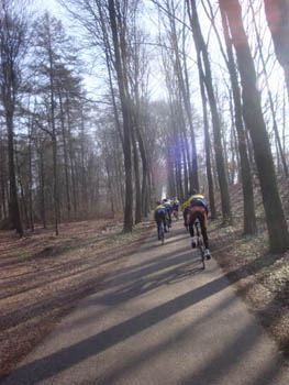 Toeren in het bos foto2