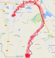 Koppelkoers
